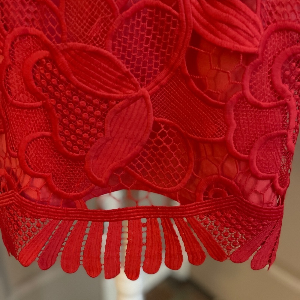Lovers + Friends red lace sleeveless back zip scoop neck mini dress Size S. - Picture 6 of 10